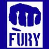 2010logo Fury